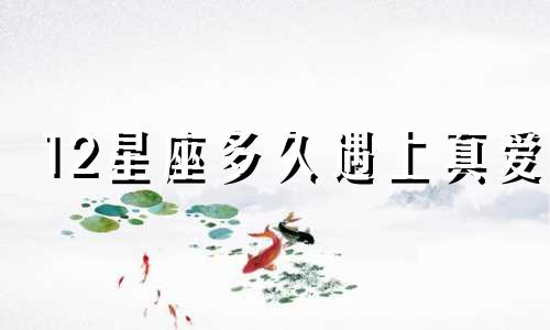 12星座多久遇上真爱