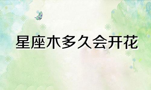 星座木多久会开花