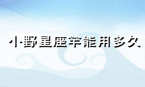 小野星座竿能用多久