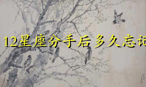 12星座分手后多久忘记