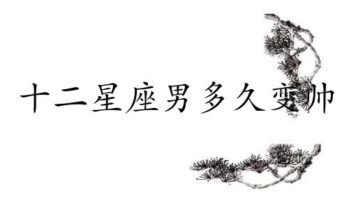 十二星座男多久变帅