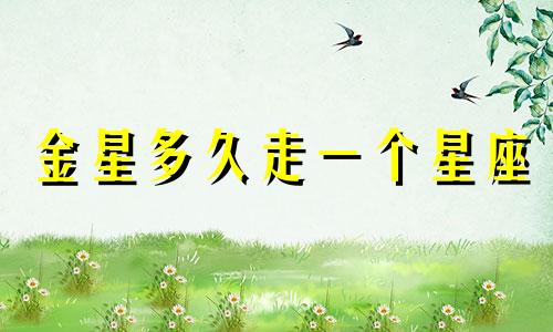 金星多久走一个星座