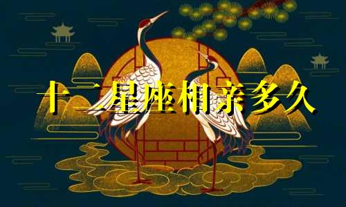 十二星座相亲多久