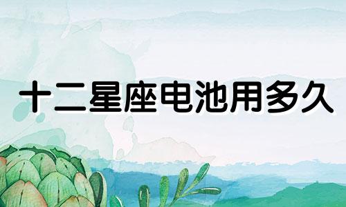 十二星座电池用多久