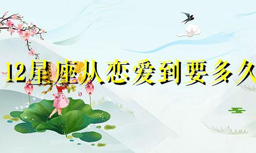 12星座从恋爱到要多久