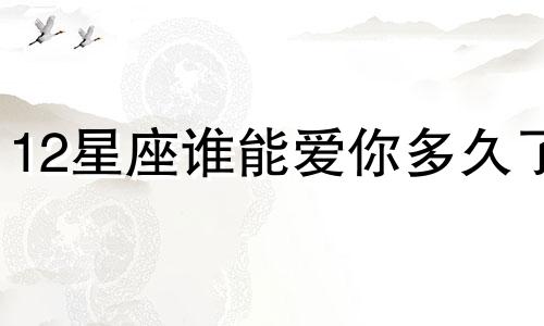 12星座谁能爱你多久了