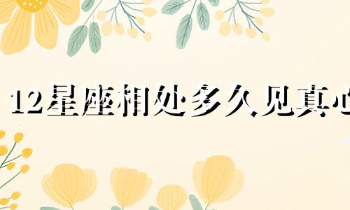 12星座相处多久见真心