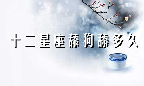 十二星座舔狗舔多久