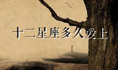 十二星座多久爱上