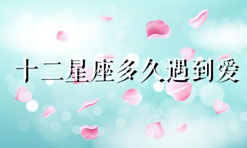 十二星座多久遇到爱