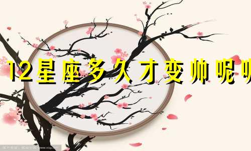 12星座多久才变帅呢呢