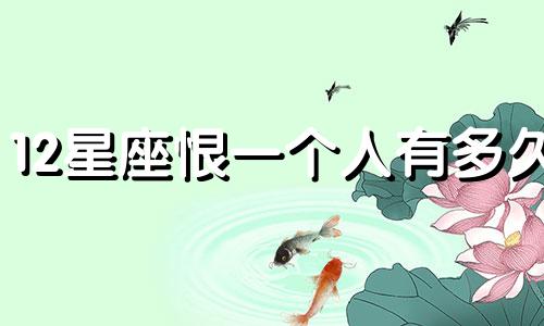 12星座恨一个人有多久