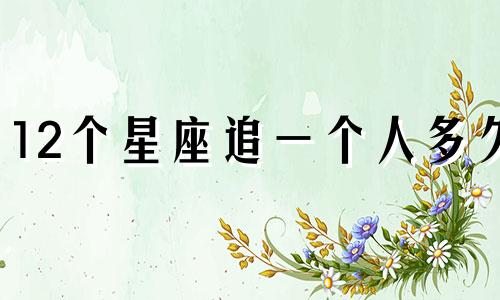 12个星座追一个人多久