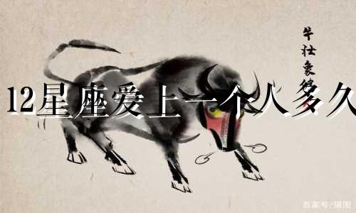 12星座爱上一个人多久