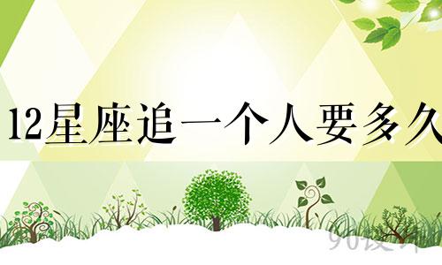 12星座追一个人要多久