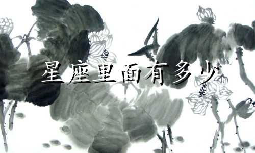 星座里面有多少