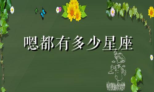 嗯都有多少星座