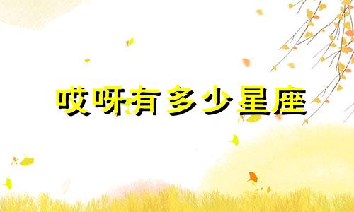 哎呀有多少星座