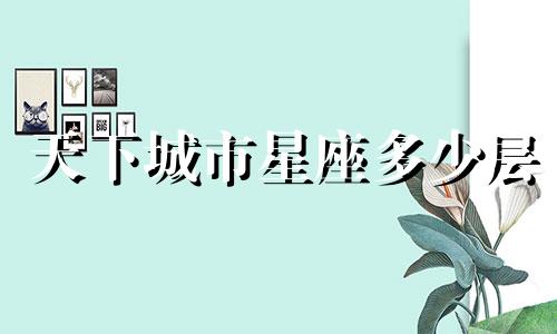 天下城市星座多少层