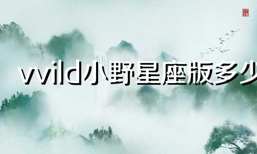 vvild小野星座版多少