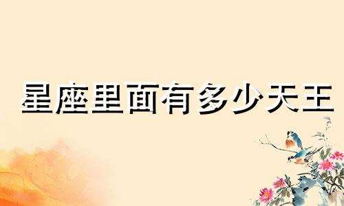 星座里面有多少天王