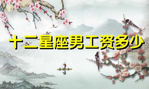 十二星座男工资多少
