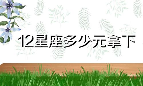 12星座多少元拿下