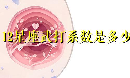 12星座武打系数是多少