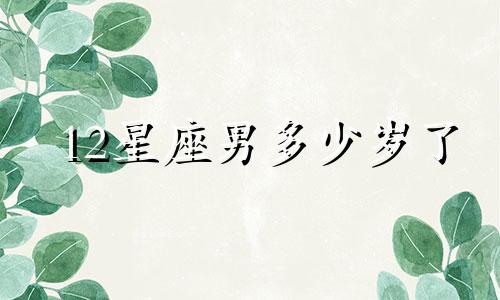 12星座男多少岁了