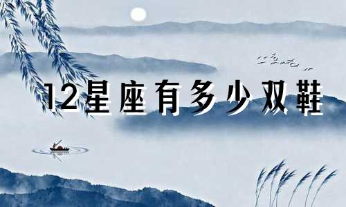12星座有多少双鞋