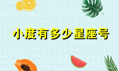小度有多少星座号