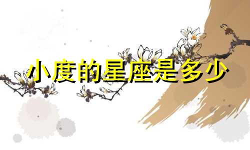 小度的星座是多少