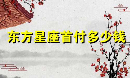 东方星座首付多少钱