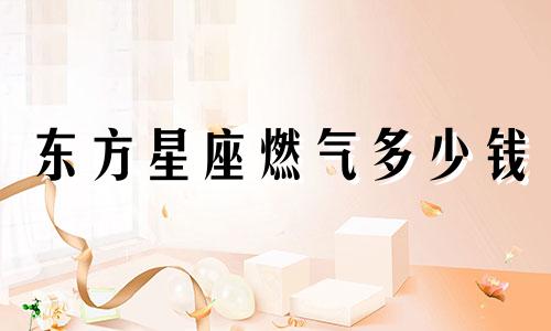 东方星座燃气多少钱