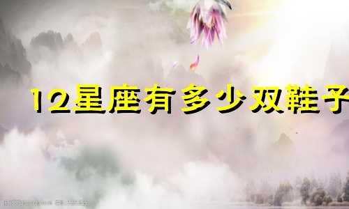 12星座有多少双鞋子