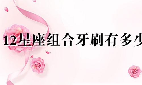 12星座组合牙刷有多少