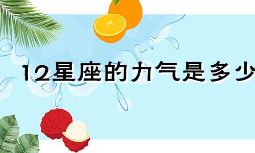 12星座的力气是多少