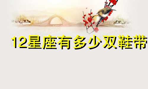 12星座有多少双鞋带