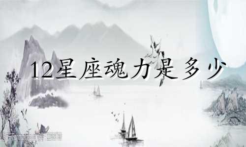 12星座魂力是多少