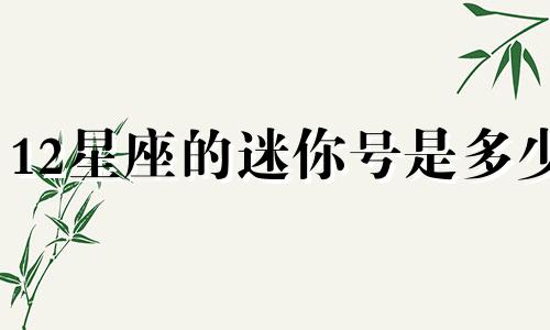 12星座的迷你号是多少