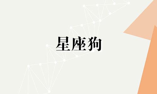 星座狗 手机壳多少钱