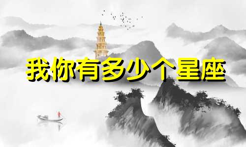 我你有多少个星座