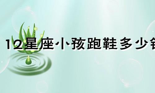 12星座小孩跑鞋多少钱