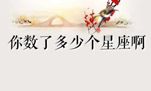 你数了多少个星座啊