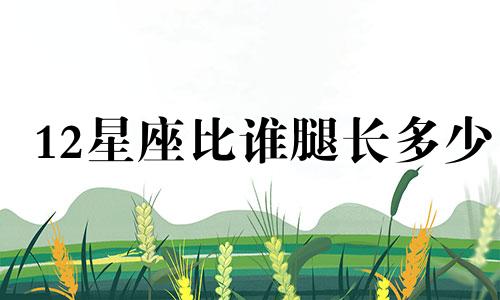12星座比谁腿长多少