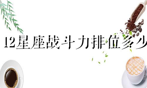 12星座战斗力排位多少