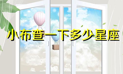 小布查一下多少星座