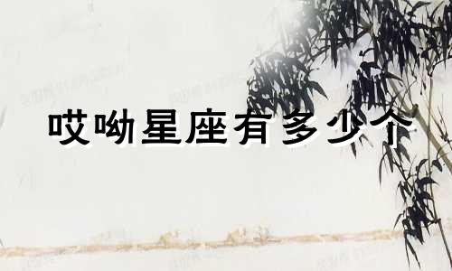 哎呦星座有多少个