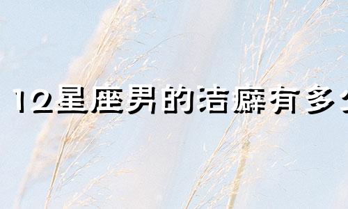 12星座男的洁癖有多少
