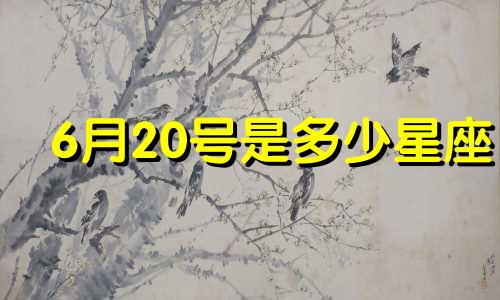 6月20号是多少星座